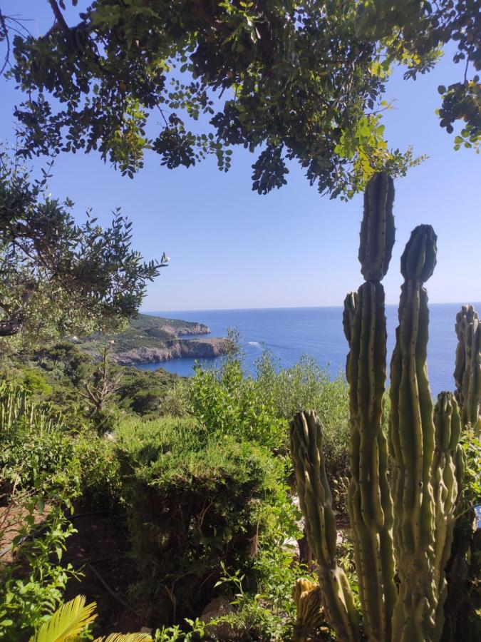 Hotel Casa Orrico - Blue Grotto - Anacapri Exteriér fotografie