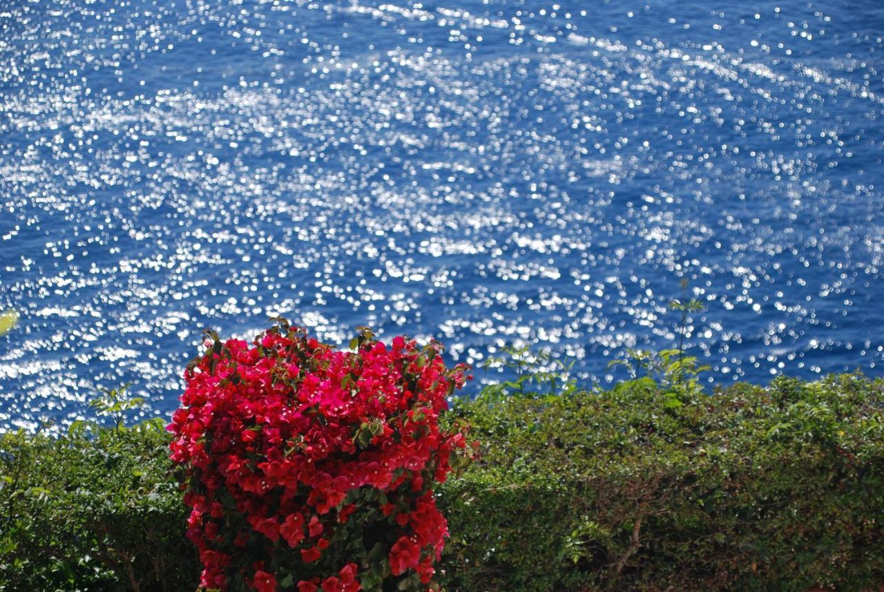 Hotel Casa Orrico - Blue Grotto - Anacapri Exteriér fotografie
