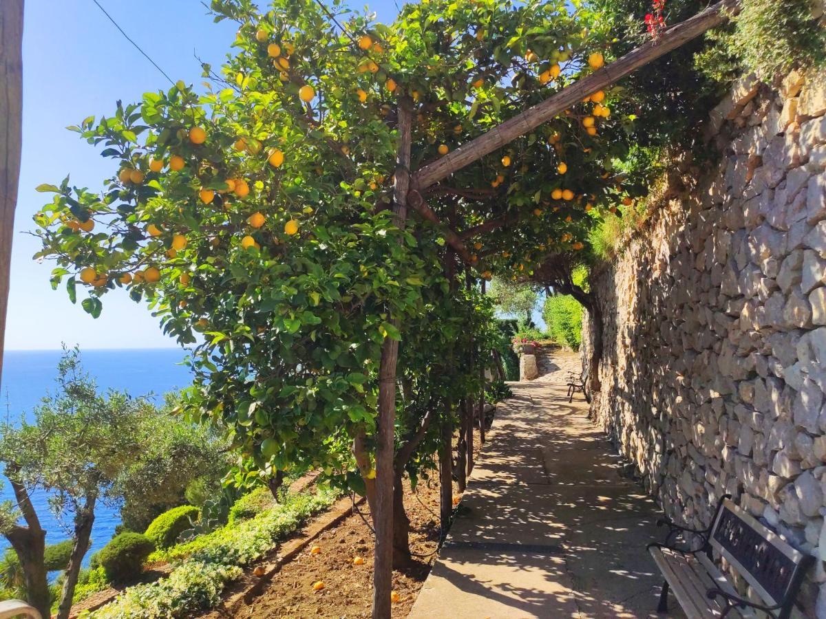 Hotel Casa Orrico - Blue Grotto - Anacapri Exteriér fotografie