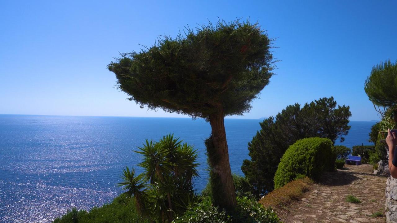 Hotel Casa Orrico - Blue Grotto - Anacapri Exteriér fotografie
